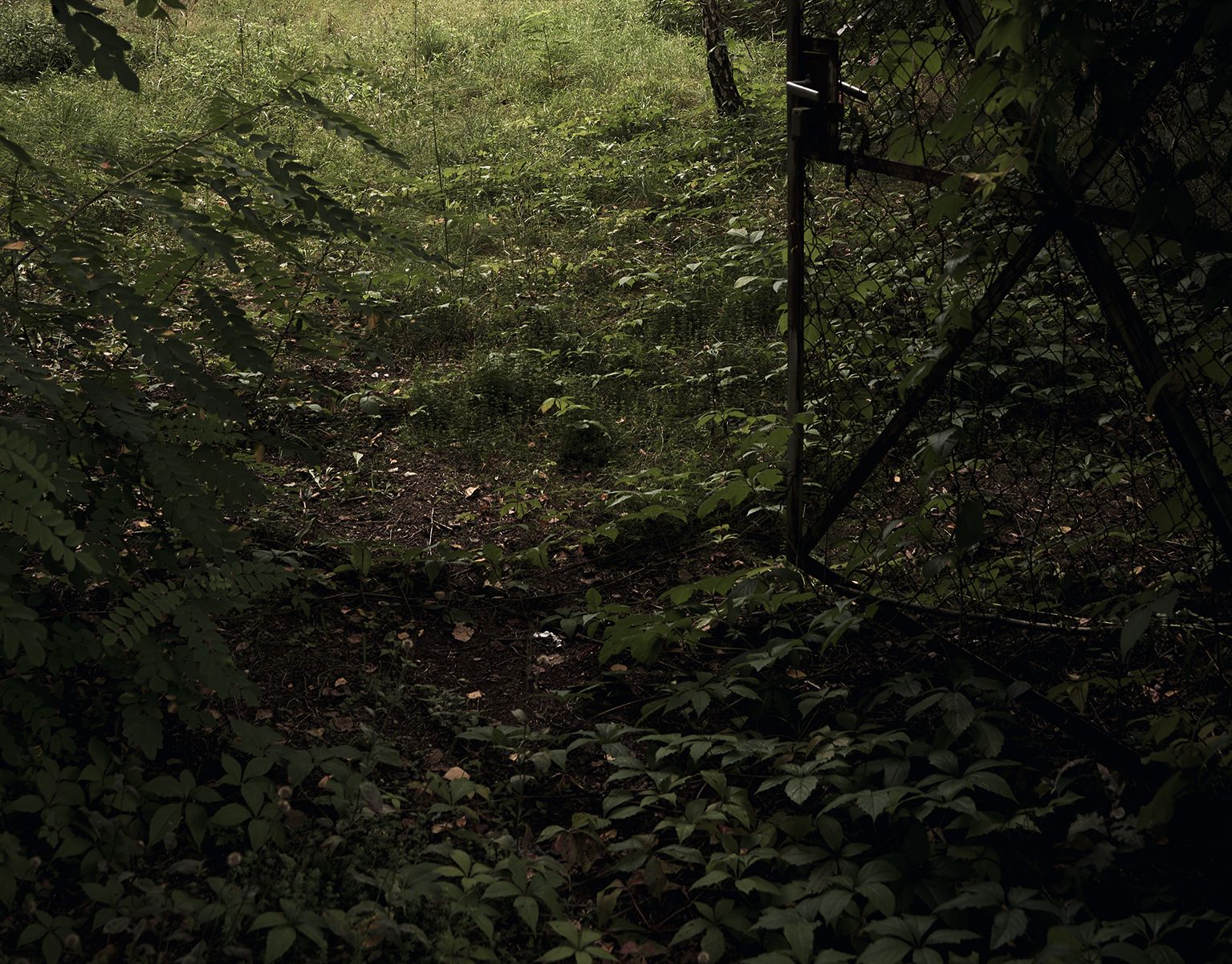 Ausstellungseröffnung "Orte an Licht bringen" Fotografien von Michaela Booth