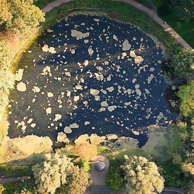 BezirksTOUR: Gletscherarchipel – Echos der Weichselkaltzeit  in den Parklandschaften Tempelhofs