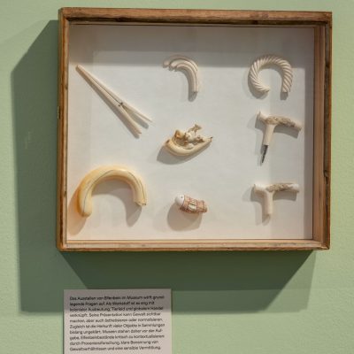 Kuratorinnenführung